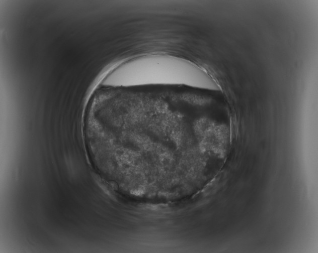 X0000083050147200703022118