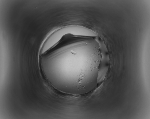 X0000083050148200703022118