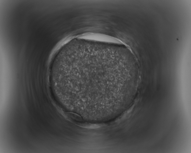 X0000083050149200703022118