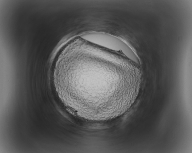 X0000083050151200703022118