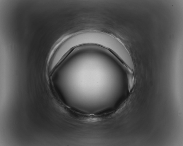 X0000083050152200703022118