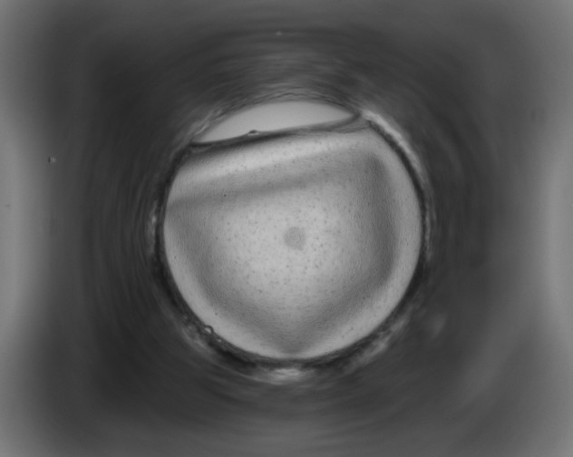 X0000083050153200703022118