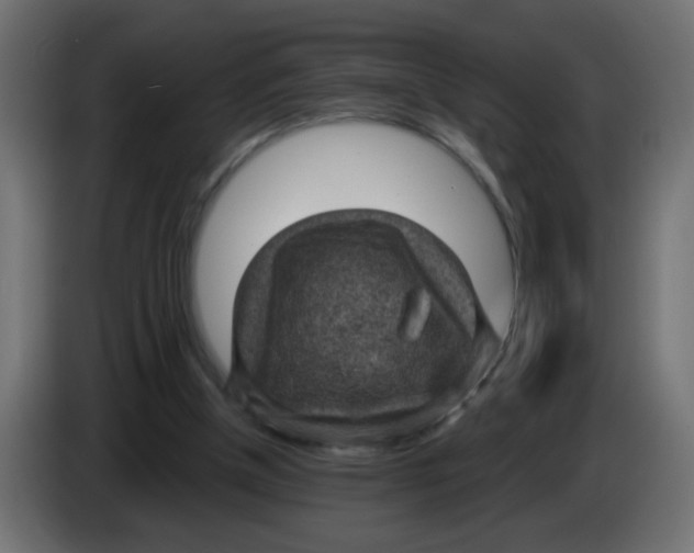 X0000083050154200703022118