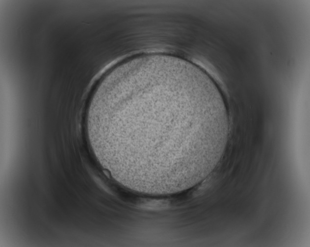 X0000083050155200703022118