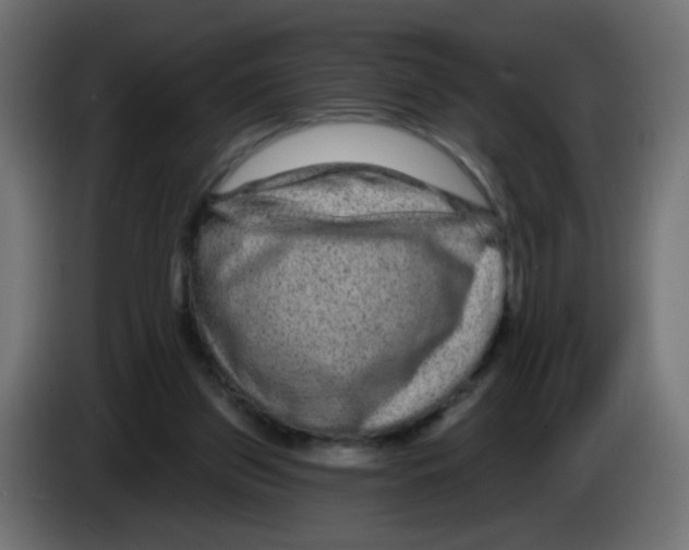 X0000083050157200703022118