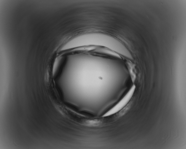 X0000083050158200703022118