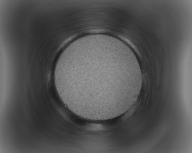 X0000083050159200703022118