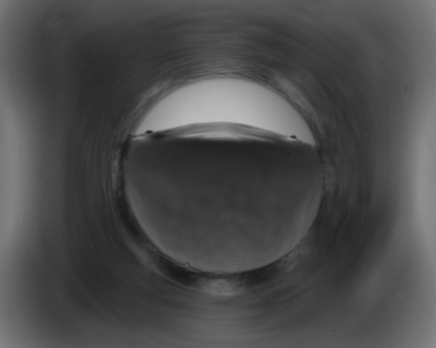 X0000083050163200703022118