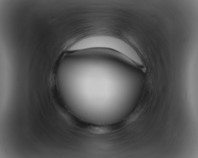 X0000083050164200703022118