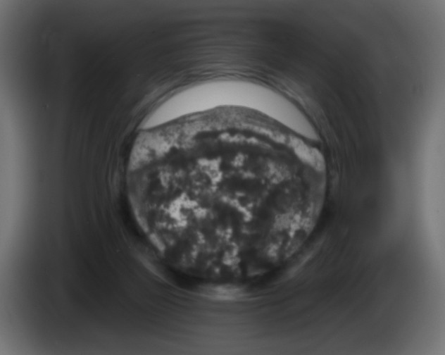 X0000083050165200703022118