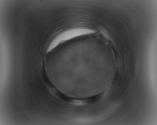 X0000083050167200703022119