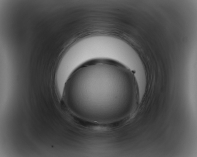 X0000083050168200703022119