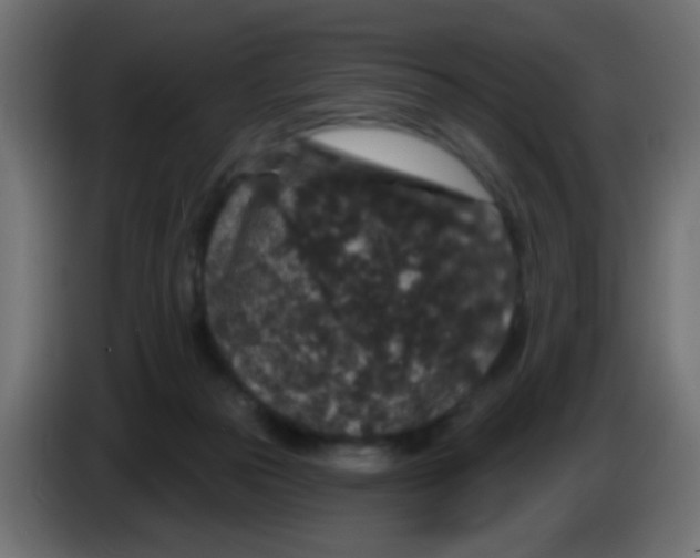 X0000083050169200703022119