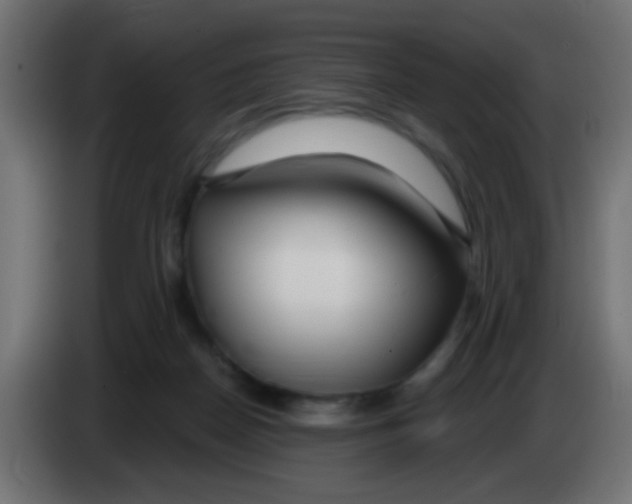 X0000083050170200703022119