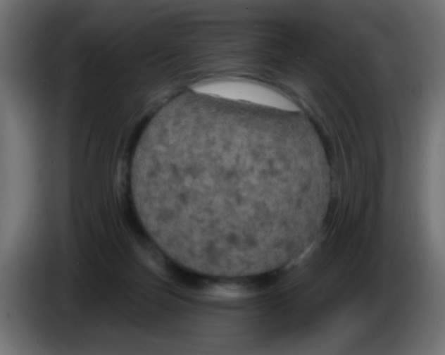 X0000083050171200703022119