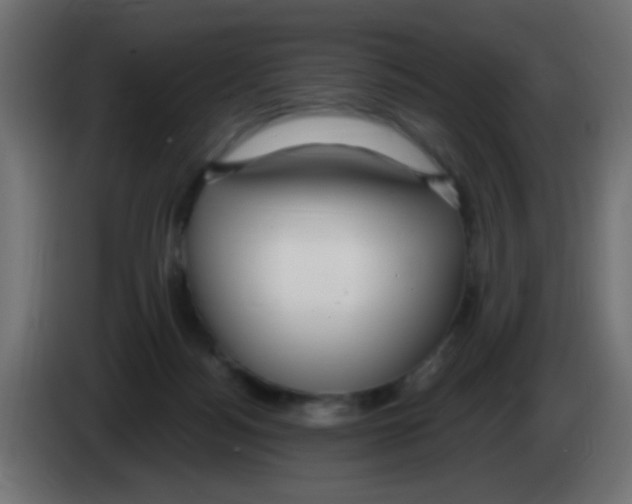 X0000083050172200703022119