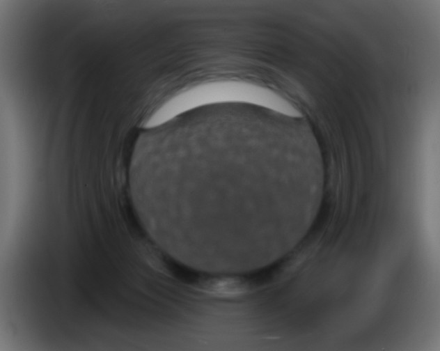 X0000083050173200703022119