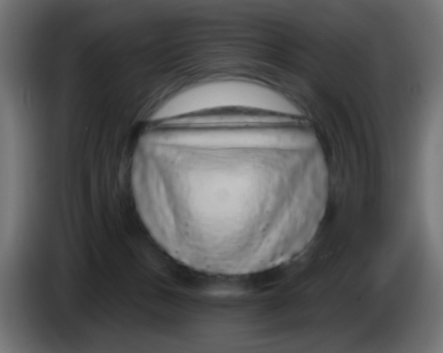 X0000083050175200703022119