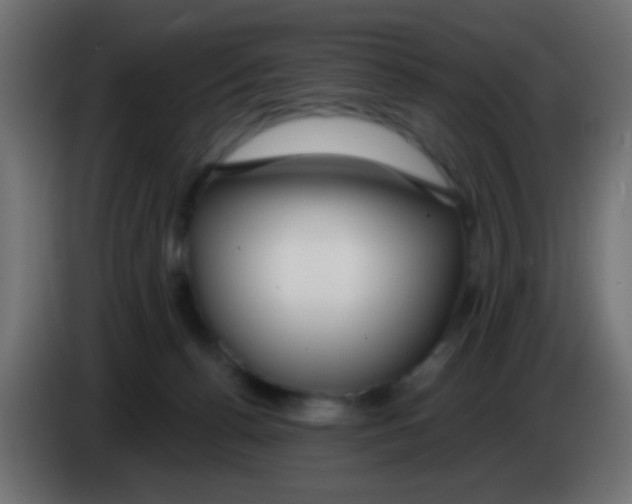 X0000083050176200703022119