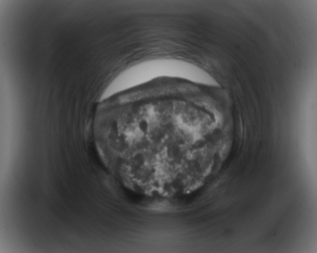 X0000083050177200703022119