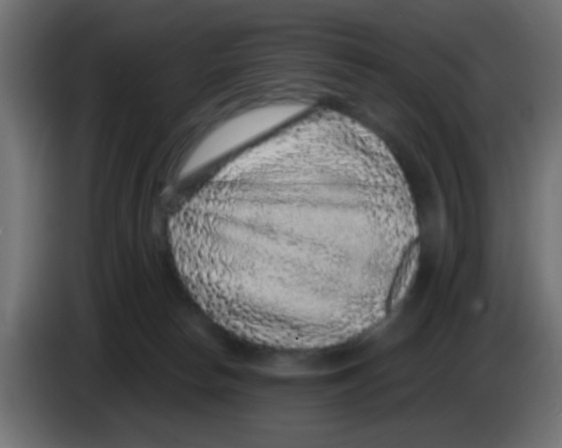 X0000083050178200703022119