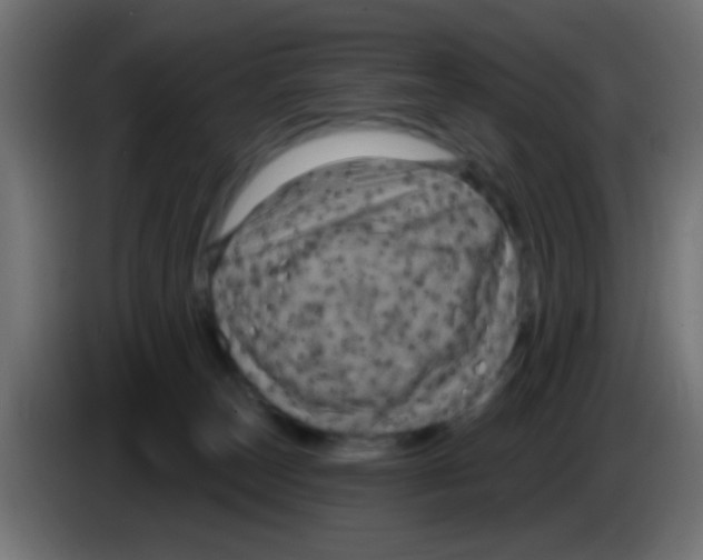 X0000083050179200703022119