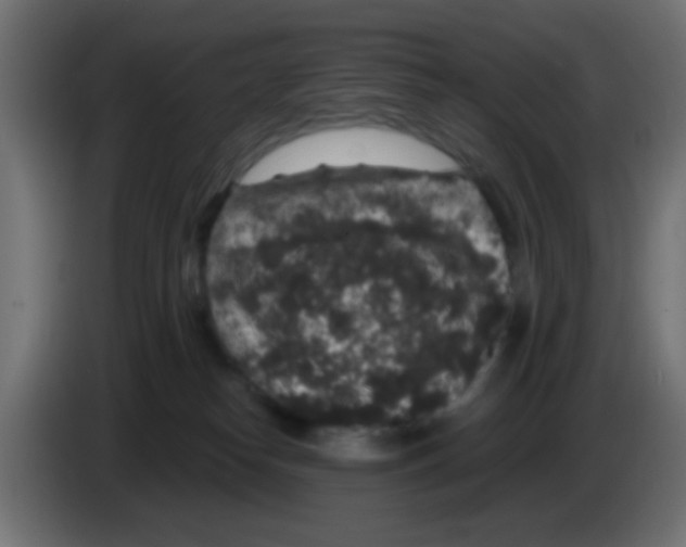 X0000083050182200703022119