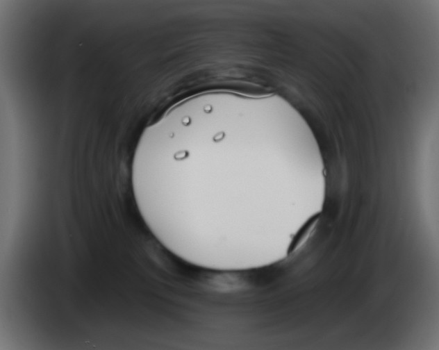 X0000083050183200703022119