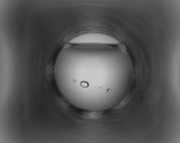 X0000083050184200703022119