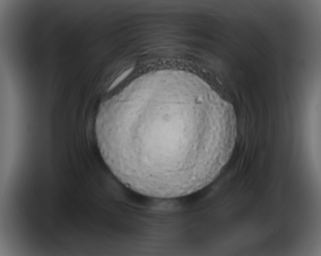 X0000083050185200703022119