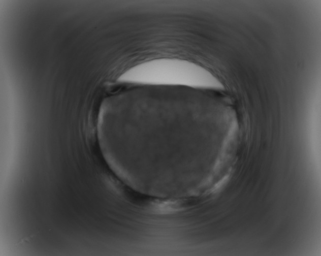 X0000083050186200703022119