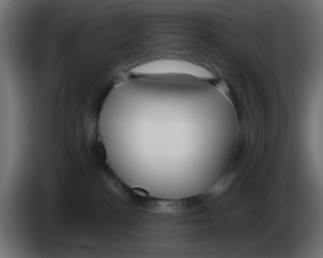 X0000083050188200703022119