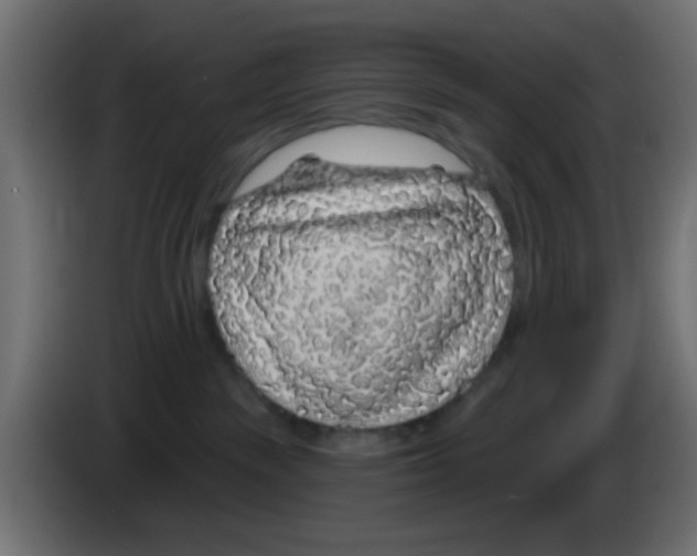 X0000083050189200703022119