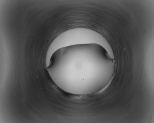 X0000083050190200703022119