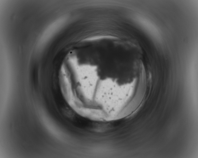 X0000083050191200703022119