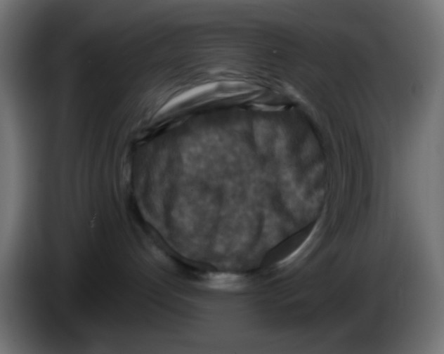 X0000083050192200703022119