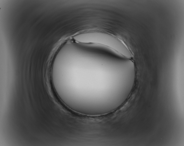 X0000083050193200703022118