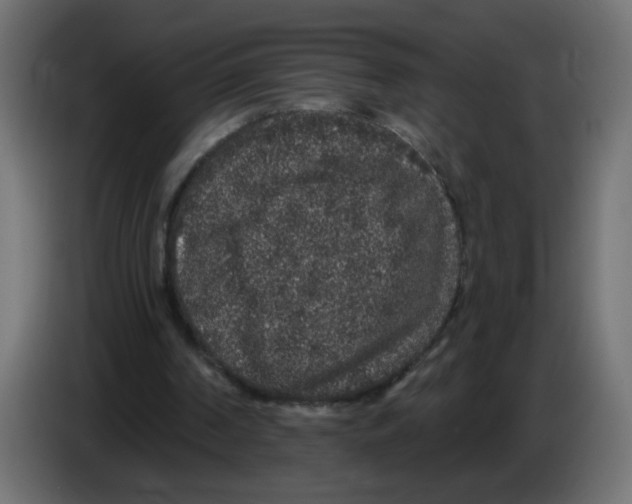 X0000083050194200703022118