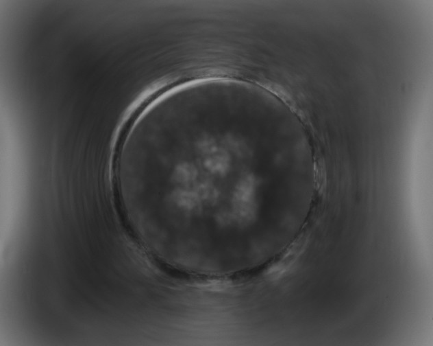 X0000083050196200703022118