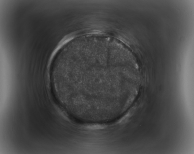 X0000083050198200703022118