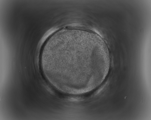 X0000083050199200703022118