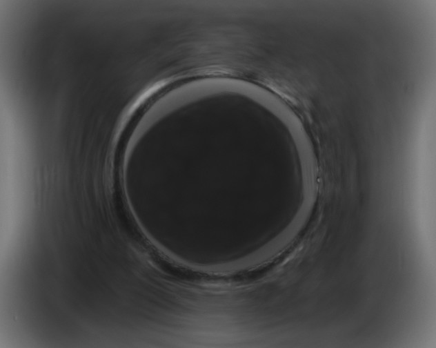 X0000083050200200703022118