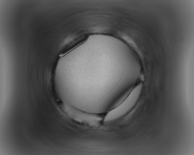 X0000083050201200703022118