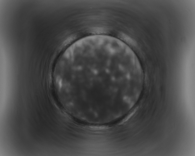 X0000083050202200703022118