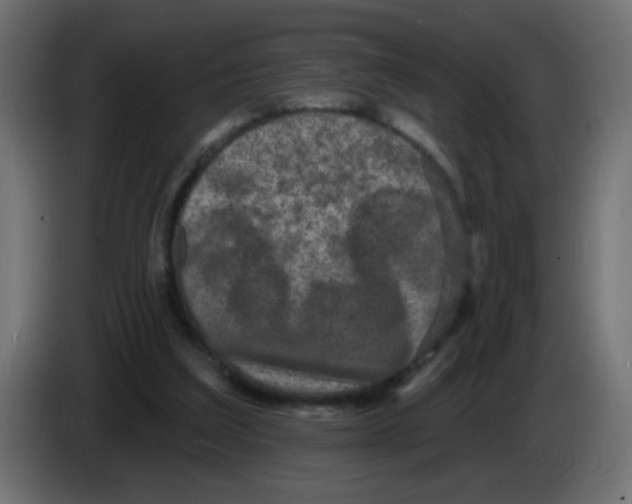 X0000083050203200703022118