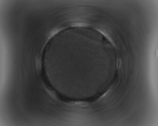 X0000083050204200703022118