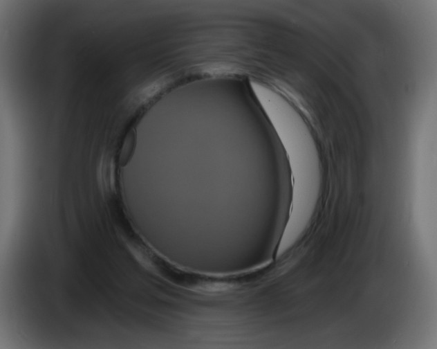 X0000083050205200703022118