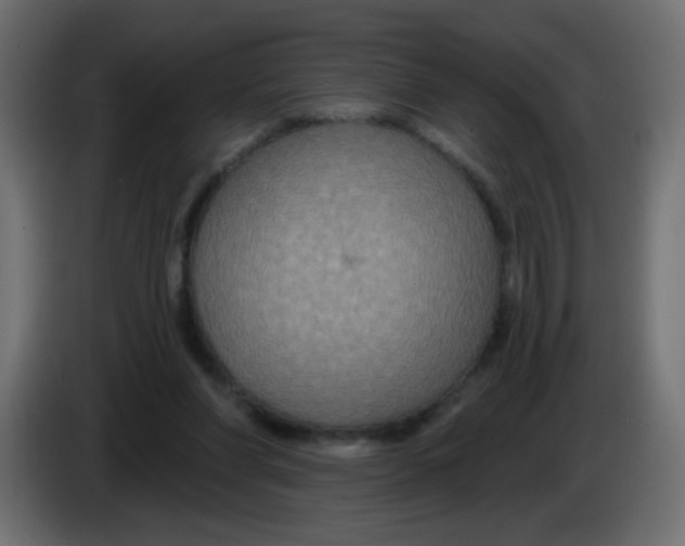 X0000083050206200703022118