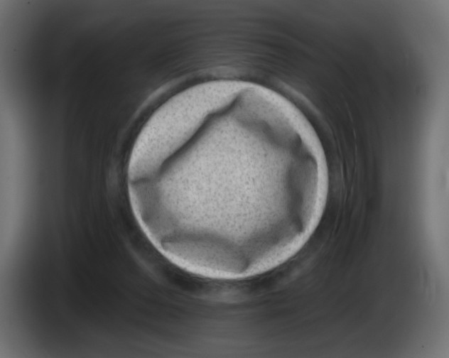 X0000083050208200703022118