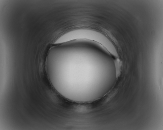 X0000083050209200703022118